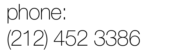 phone (212) 452 3386